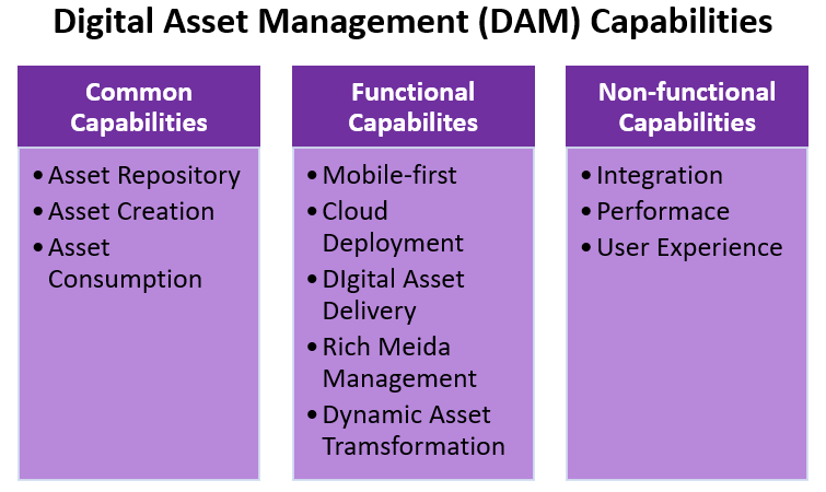Digital Asset Management (DAM) Capabilities