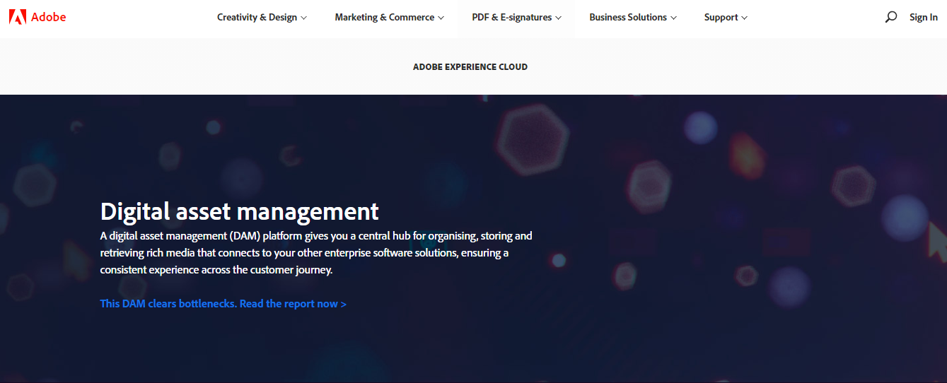 Adobe Experience Manager DAM